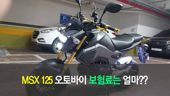MSX 125 오토바이 보험료는 얼마?