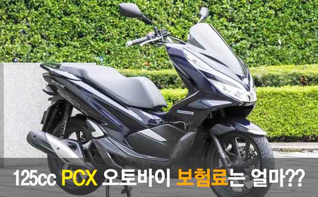 125cc PCX 오토바이 보험료는 얼마??