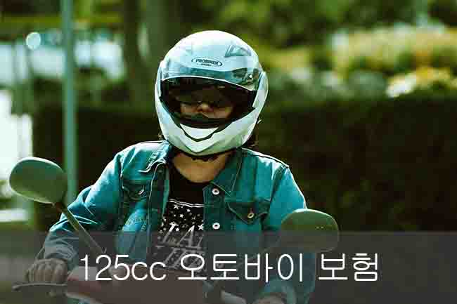 125cc 오토바이 보험