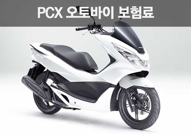 125cc pcx 오토바이보험료