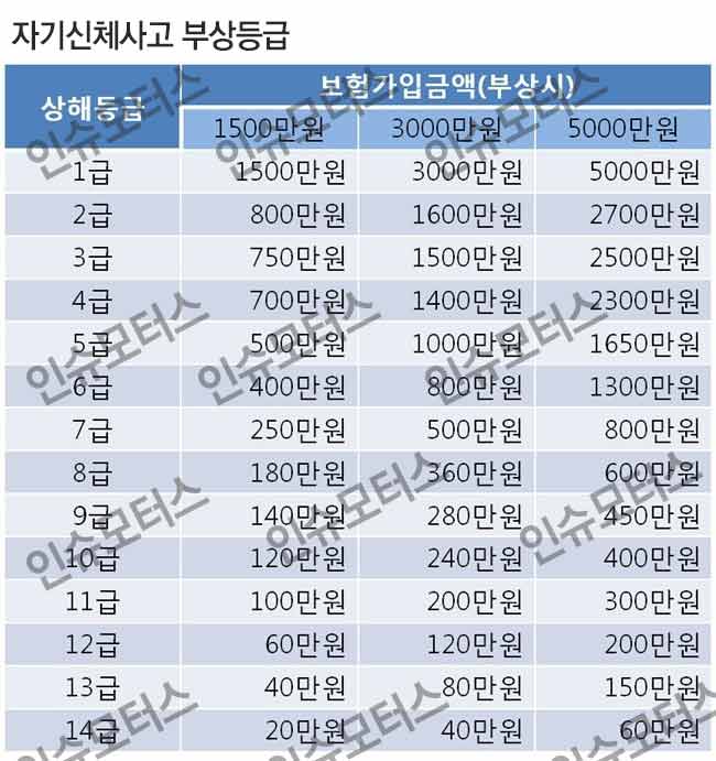 자기신체사고 부상등급 표