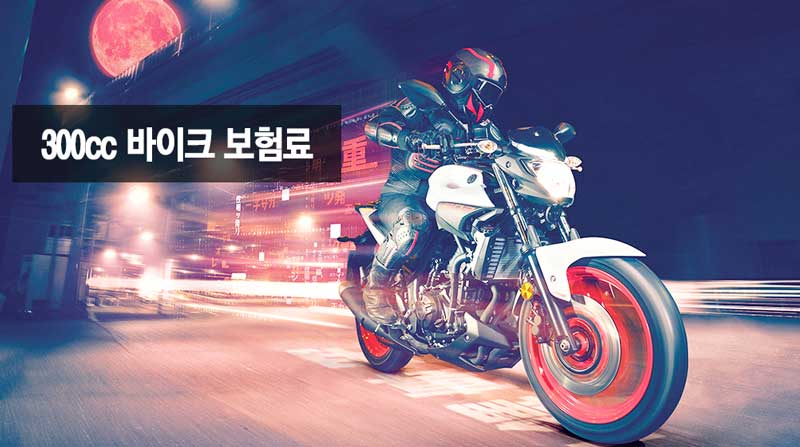 300cc 400cc 바이크 보험료