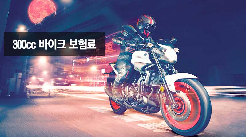 300cc 400cc 바이크 보험료